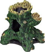 Exotic Environments Hollow Tree Stump Aquarium Ornament