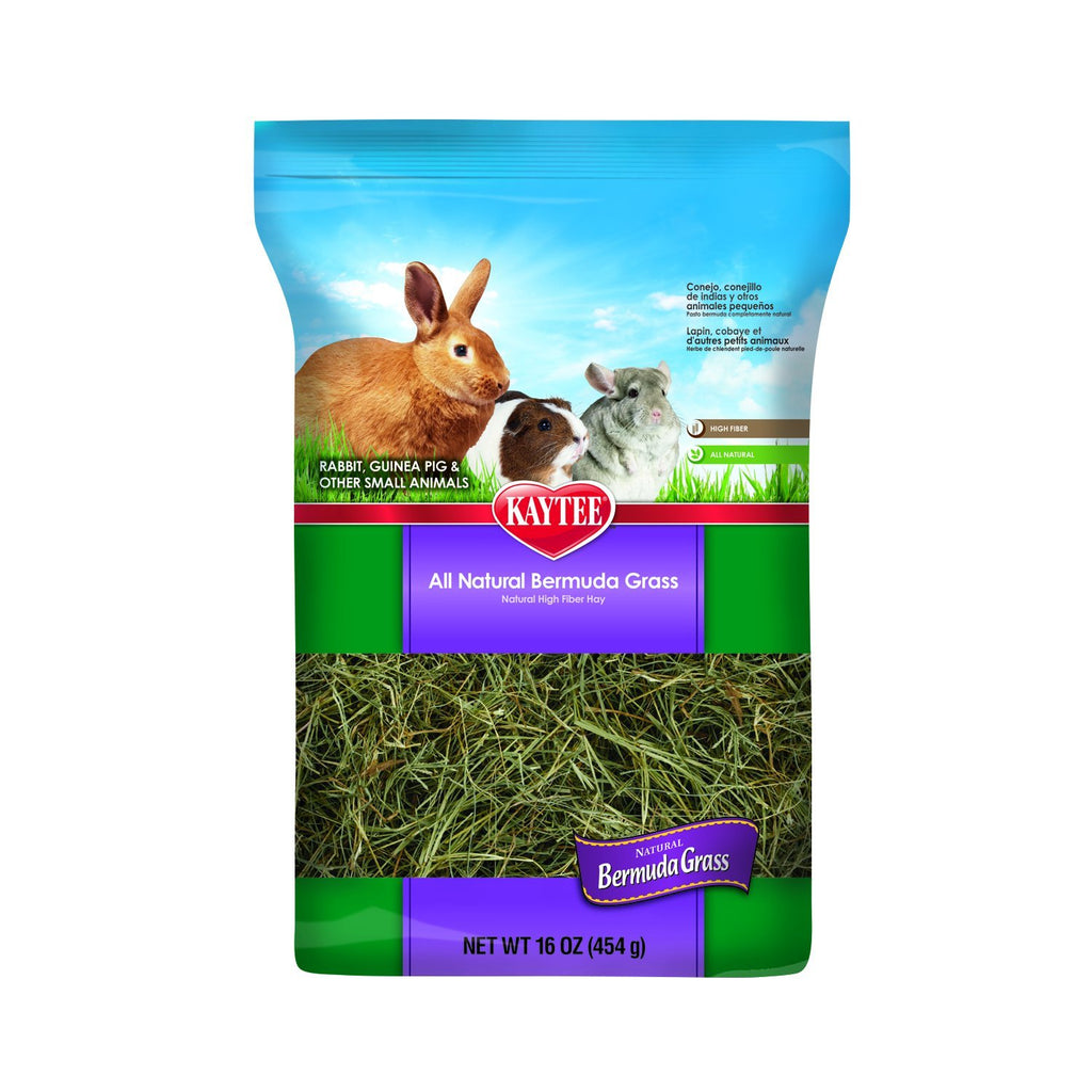 Kaytee Bermuda Grass for Small Animals 16-Ounce