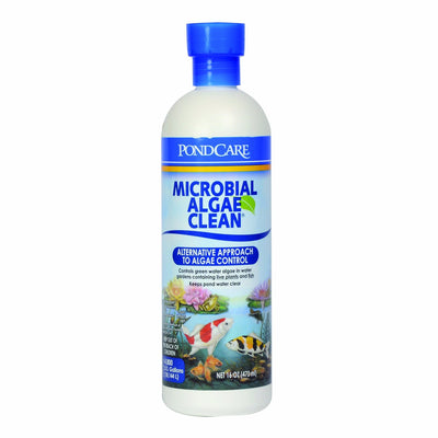 API Pondcare Microbial Algae Clean 16 oz. Bottle