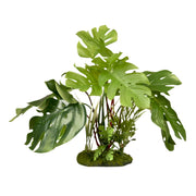 Blue Ribbon ColorBurst Florals Split Green Leaf Philodendron