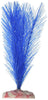 Blue Ribbon Plant - Soft Foxtail Mini