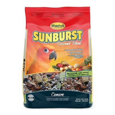 Higgins Sunburst Conure 3lb