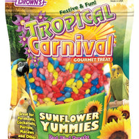 F.M. Brown's Tropical Carnival Sunflower Yummies Treat 3.5 oz