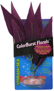 Blue Ribbon Pet Products ABLCB107PL African Sword Plant for Aquarium, Mini, Plum