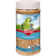 Kaytee Forti-Diet Pro Health Oat Groats Treat for All Pet Birds 11 Ounce