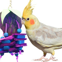 A&E Cage Small Grapes Bird Toy