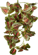 Fluker's Repta-Vines 6' Red Coleus