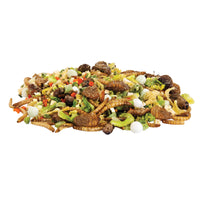 Zilla Reptile Munchies Omnivore 4 oz.