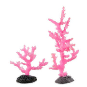 Pink Sinularia Coral 2 sizes