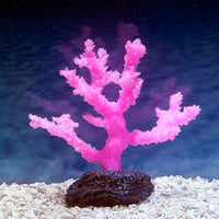 Sporn Aquatic Creations Pink Sinularia Coral Small