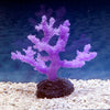 Sporn Aquatic Creations Purple Sinularia Coral small
