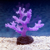 Sporn Aquatic Creations Purple Sinularia Coral small