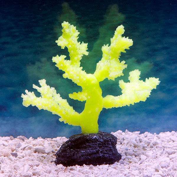 Yellow Sinularia Coral Glow-In-The-Dark small