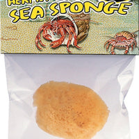 Zoo Med Hermit Crab Sponge