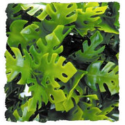 Zoo Med Amazonian Phyllo Reptile Terrarium Plant