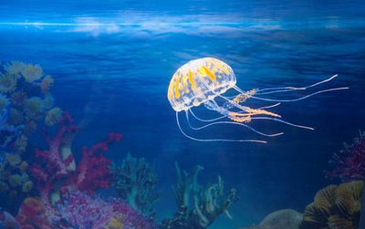 Aquatop Floating Jellyfish Decor